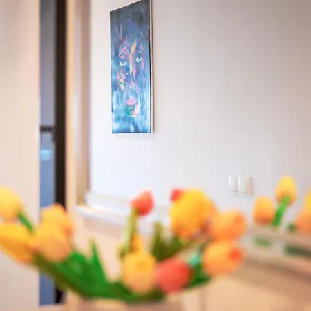 Memo - Zf Hvar 赫瓦尔