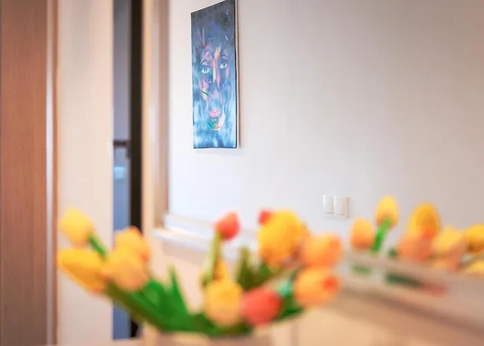 Memo - Zf Hvar Hvar Town